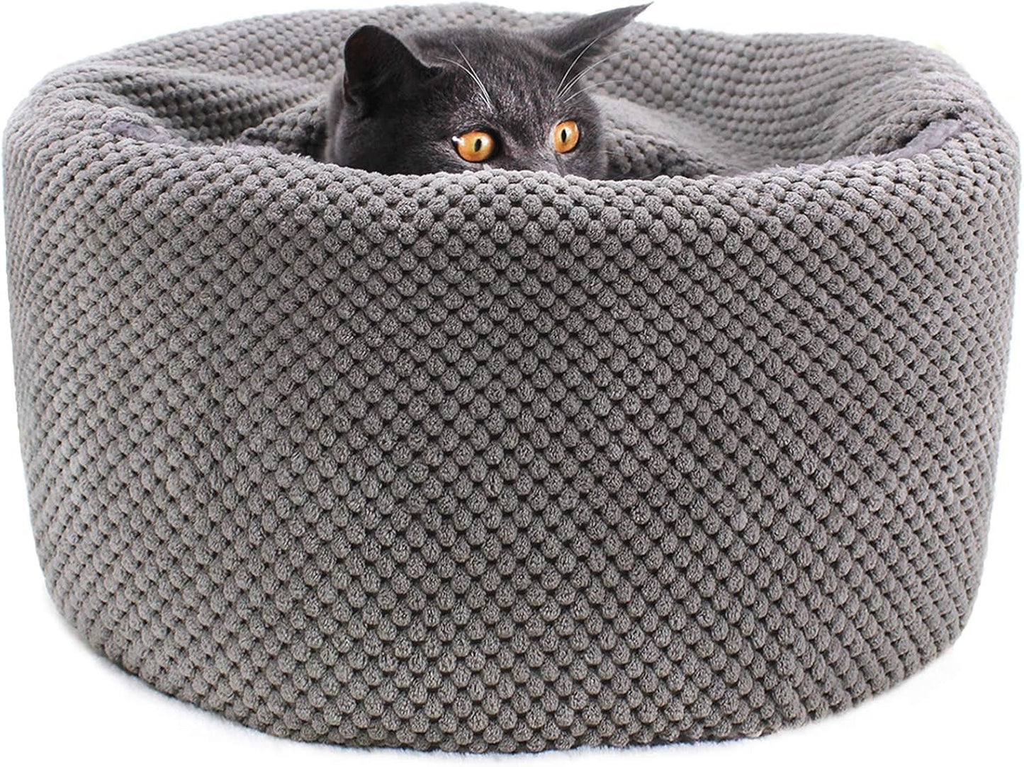 Best Affordable Washable Cozy Bed for Indoor Cats - Loyal Paws