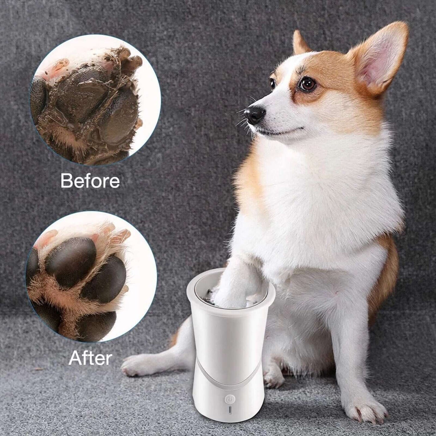 Best Automatic Dog Paw Washer – Easy & Gentle Cleaning for Dogs - Loyal Paws