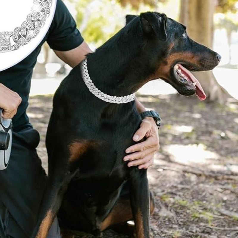 Best Adjustable Diamond & Rhinestone Pet Collar for Dogs & Cats - Loyal Paws