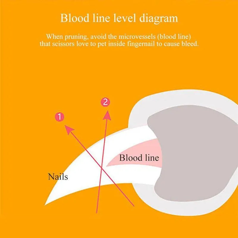 LED Pet Nail Trimmer Pets Care Dog Nail Clippers Grinders for Cat Dog