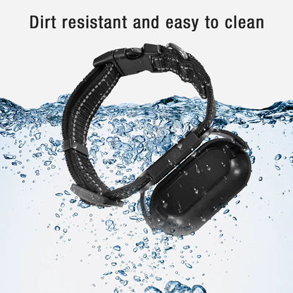 Pet Collar Camera 120 Deg Lens OTG Connection Video Recording Adjustable Magnetic Cat Sport Camera for Outdoor Dog Collar Camera