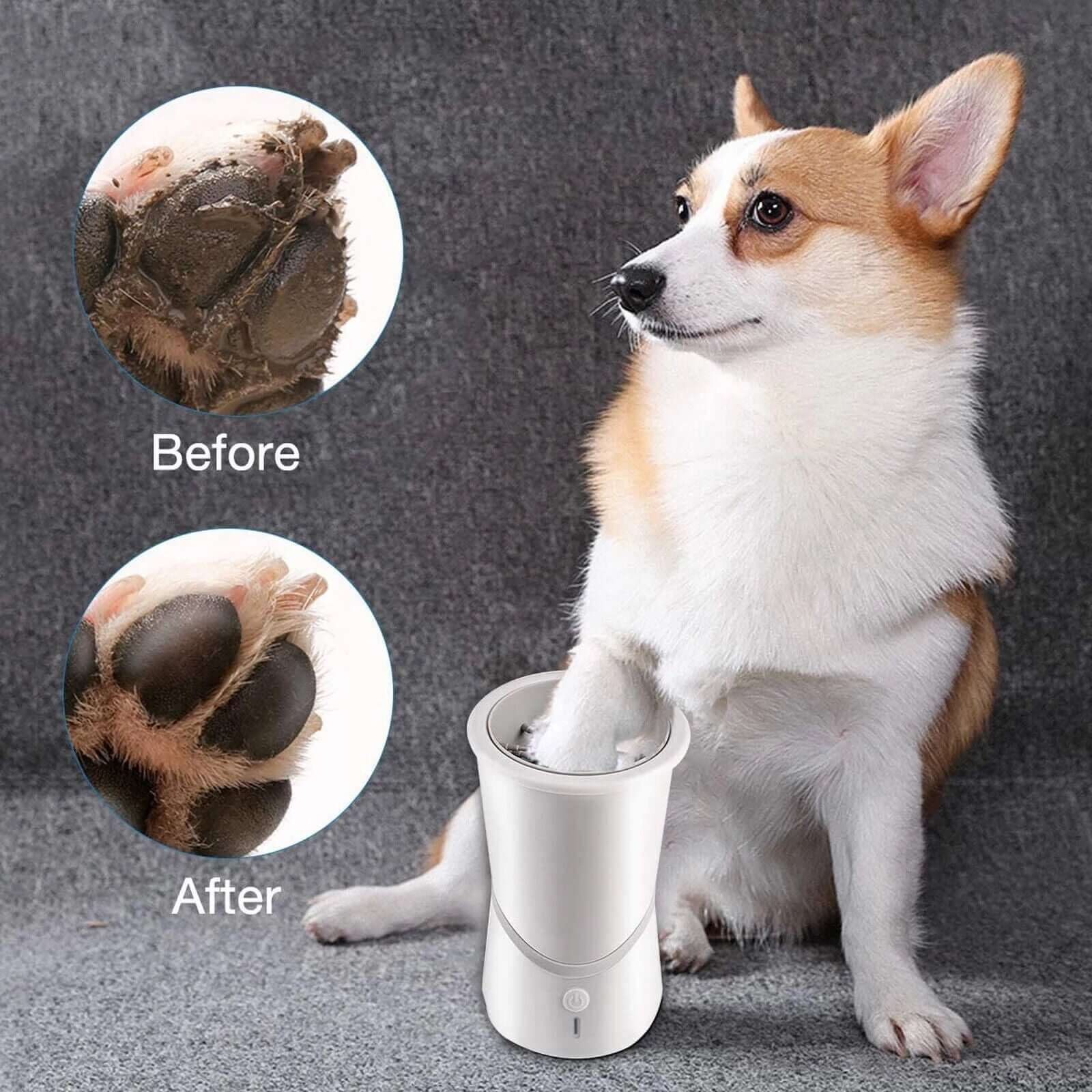 Best Automatic Dog Paw Washer – Easy & Gentle Cleaning for Dogs - Loyal Paws