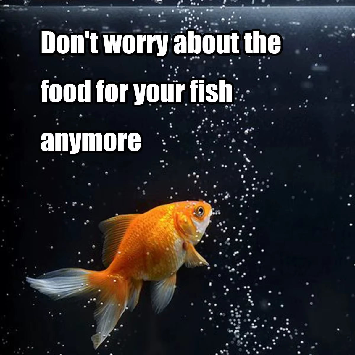 Automatic Fish Feeder 100ML Capacity Battery Operated Programmable Timer for Aquarium Fish Tank Easy to Set up Vacation Use