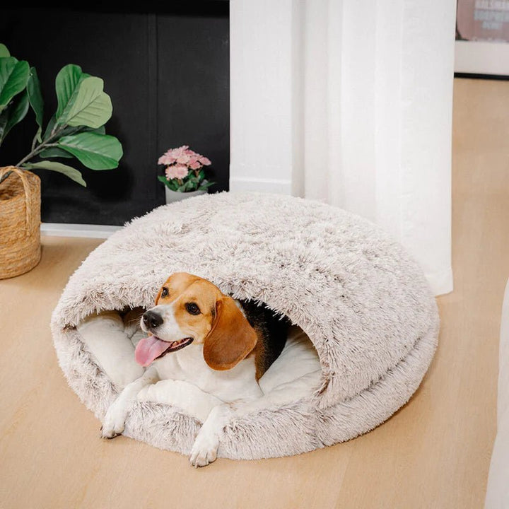 LoyalPaws CozyDen Cat Cave — Stay Warm, Sleep Deeply