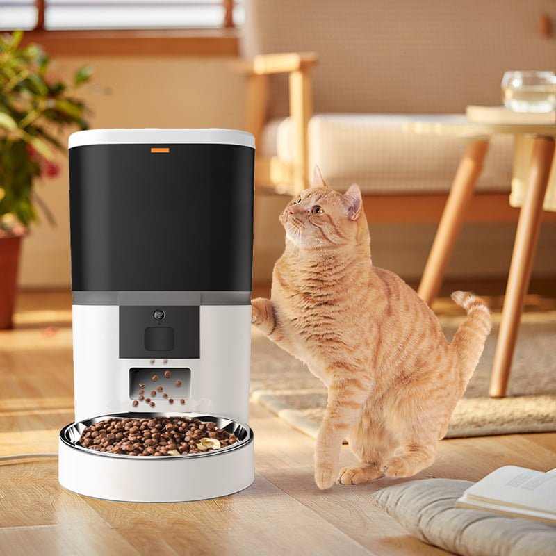 LoyalPaws Smart Pet Feeder — Feed, Watch & Talk From Anywhere
