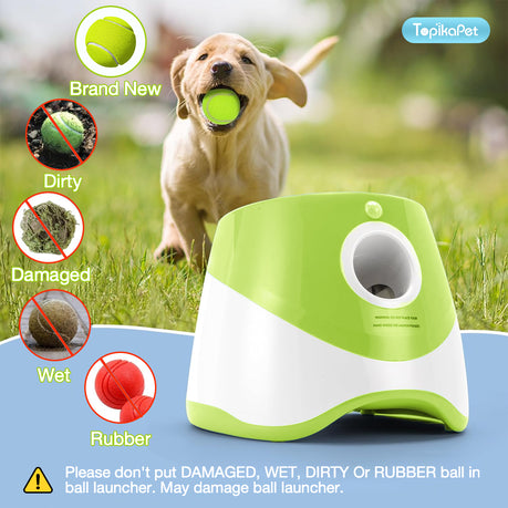 LoyalPaws FetchMate™ — Set It. Drop It. Fetch It.