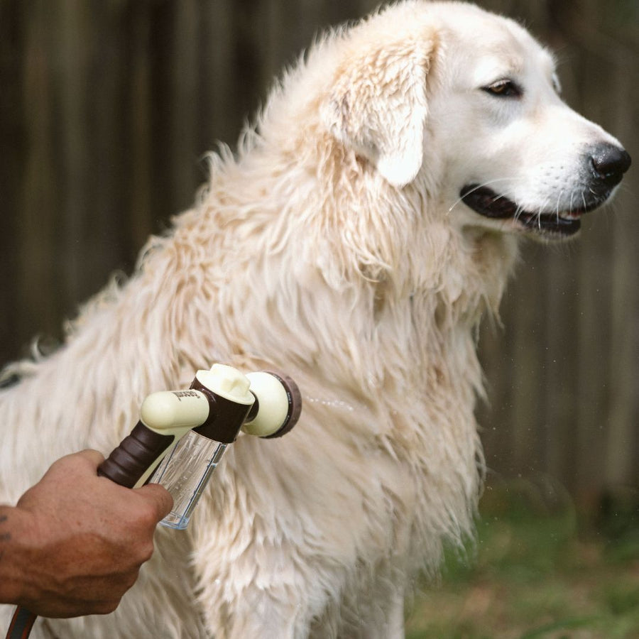 LoyalPaws HydroHound – Bath time dogs actually love
