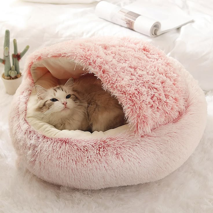 LoyalPaws CozyDen Cat Cave — Stay Warm, Sleep Deeply