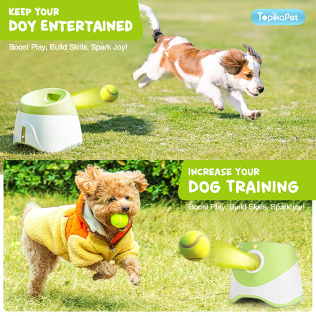 LoyalPaws FetchMate™ — Set It. Drop It. Fetch It.