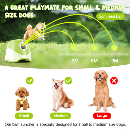 LoyalPaws FetchMate™ — Set It. Drop It. Fetch It.